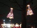 Toledo Zoo Lights 2008 045